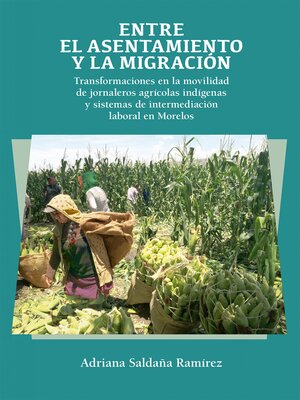 cover image of Entre el asentamiento y la migración